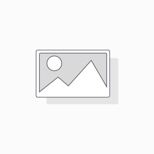 The Mint - Amaliquidi - 10ml