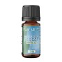 Mintblast - Flavourage - 10ml